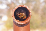 7308 Yellow Jackets
