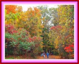2011_fall__season__photos