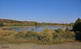 20111009 - 1 008 SERIES - Bruce Pit, Geese.jpg