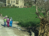 Three Girls