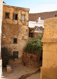 The original burning bush at St. Catherine's Monastery, fire extinguisher at hand