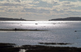 2011 09 09_RIMOUSQUI_0736_edited-1.jpg
