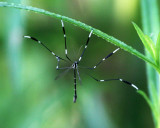 2012 07 12_1298_modifié-1.jpg