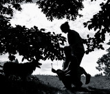 Silhouettes