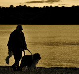 Last Walk of the Day
