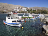 Vilchadia.jpg