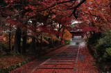 Bishamon-Do Temple (2011)