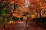 Komyoji-Temple