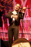 Mariachi Vargas de Tecalitlán -10.jpg