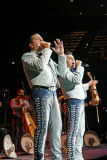 Mariachi Los Camperos -08.jpg