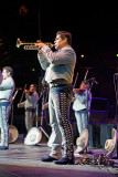Mariachi Los Camperos -12.jpg