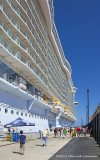 K5E6077-Oasis.jpg