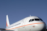 SKYTRADERS AIRBUS A319LR HBA RF IMG_5135.jpg