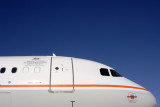 SKYTRADERS AIRBUS A319LR HBA RF IMG_5136.jpg