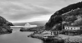 _DSC5887 - Quidi Vidi and Berg