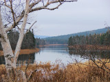 Terra Nova River 002