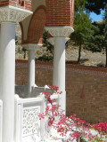 More bouganvillia