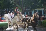 Cuban wedding!