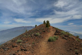 Copy of IMG_2429.jpg