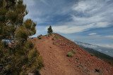 Copy of IMG_2430.jpg
