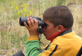 Young Turkish Birder