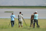 Birding near marshes of Doğubeyazıt