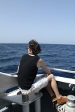 whale and dolphin trip