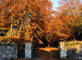 Autumn at Anaverna