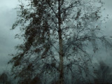 Rainy Day Watercolour