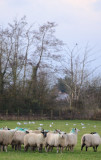 Visitors