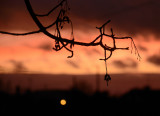 Light in the Dark