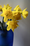 First Day of Spring?