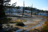 Mammoth Hot Springs, Yellowstone National Park