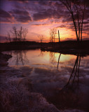 Glacial Park, McHenry County, IL
