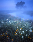Glacial Park, McHenry Co, IL