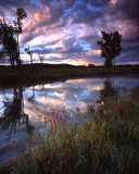 Glacial Park, McHenry Co, IL