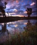 Glacial Park, McHenry Co, IL