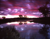 Glacial Park, McHenry Co, IL
