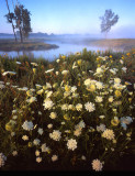 Glacial Park, McHenry Co, IL