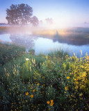 Glacial Park, McHenry Co, IL