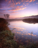 Glacial Park Morning