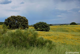Extremadura
