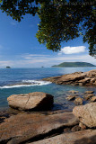 Cedro, Ubatuba, Sao Paulo, 9705.jpg