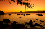 Picinguaba, Ubatuba, Sao Paulo, 9936.jpg