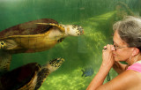 Turtle Whisperer