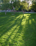 Morning Crosses Lower Campus