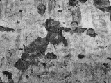 SJC Abstract - 6.jpg