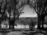 Guajome Scene - 1.jpg