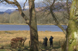 WeBS Count day at Wards Pond, Loch Lomond NNR