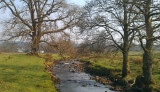 Burn of Mar, Loch Lomond